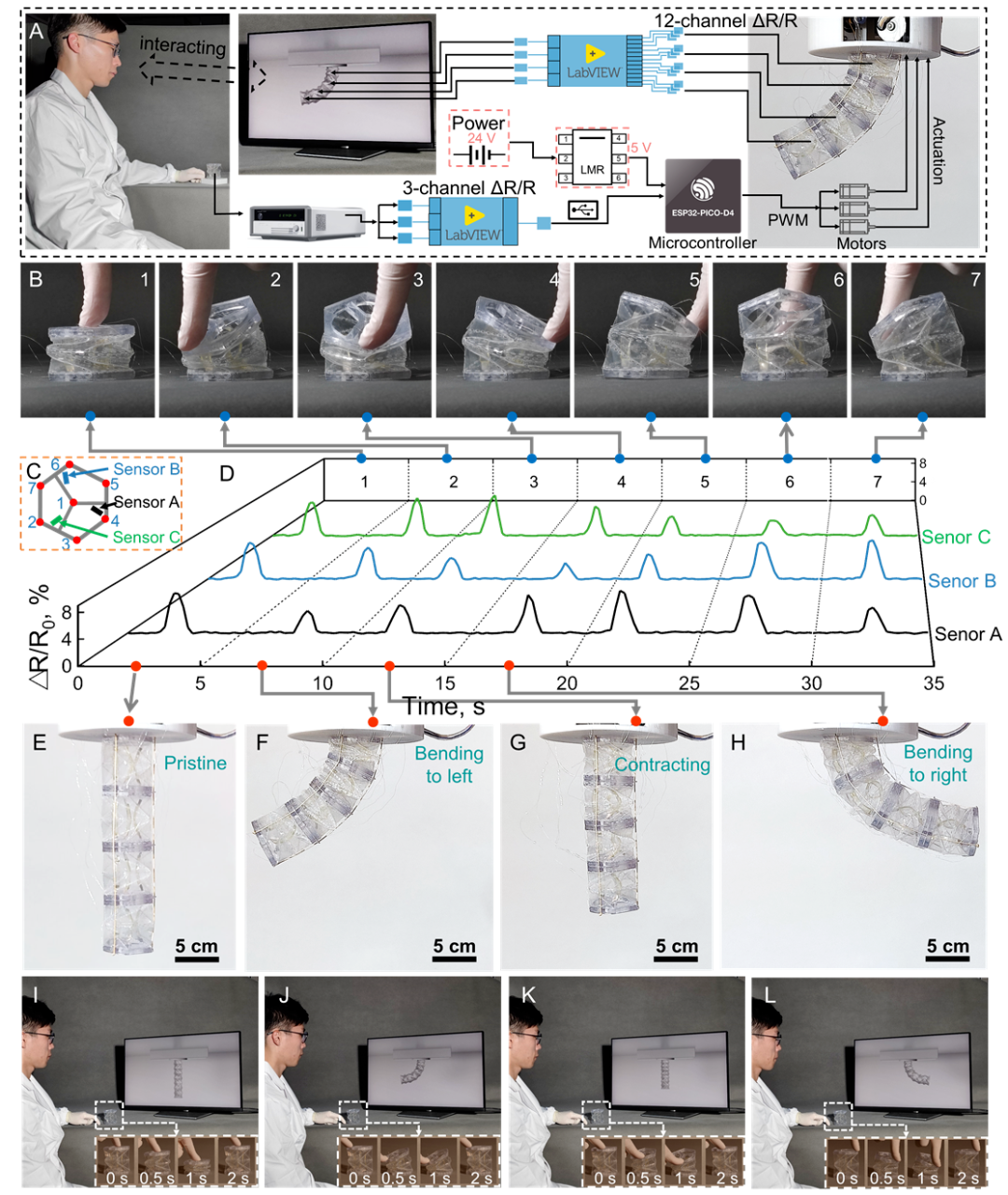 ​西湖大学Science Advances新成果：可降解的模块化自感知折纸机器人(图8)